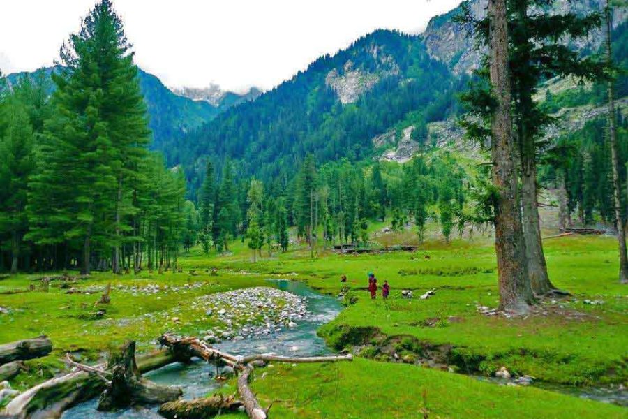 3 Days Trip to Kashmir