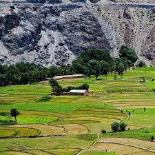 Fairy Meadows