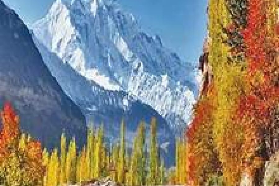 10 Days Skardu Fairy Meadows Tour