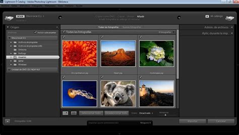 Adobe Lightroom 2025 Cracked Download
