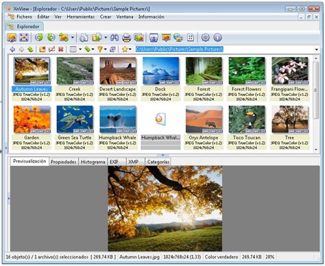 Download XnView Classic 2.52.0